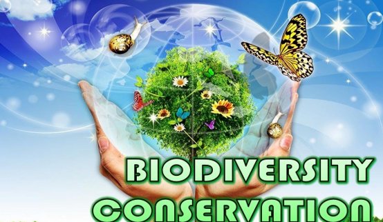 AI for Biodiversity Conservation